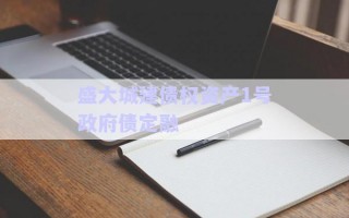 盛大城建債權資產1號政府債定融