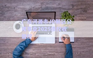 廣東河源市JD新區公用事業2025債權收益權