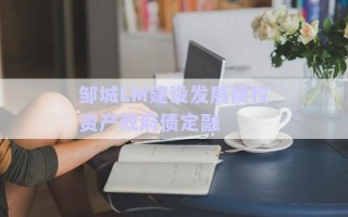 鄒城LM建設發展債權資產政府債定融