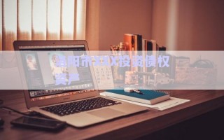 洛陽市XXX投資債權資產