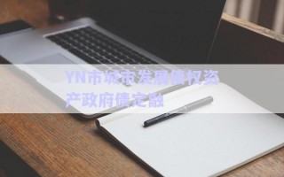 YN市城市發展債權資產政府債定融
