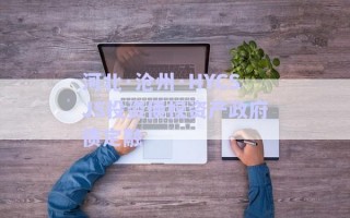 河北·滄州·HYCSJS投資債權資產政府債定融