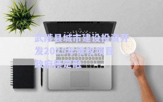 武陟縣城市建設投資開發2025年債權項目政府債定融