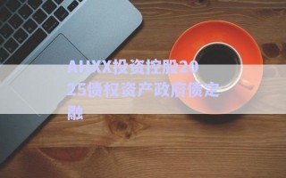 AHXX投資控股2025債權資產政府債定融