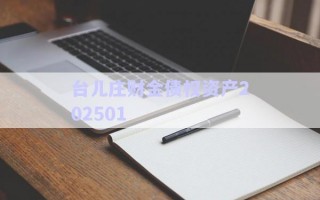 臺兒莊財金債權(quán)資產(chǎn)202501