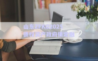 山東ZFKG2025債權資產政府債定融