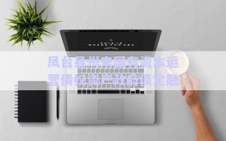 鳳臺縣州來國有資本運營債權資產政府債定融
