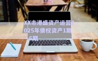 XX市港盛資產運營2025年債權資產1期—6期