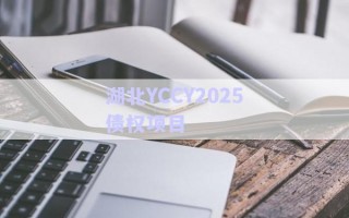 湖北YCCY2025債權項目