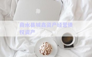 商水縣城鑫資產經營債權資產