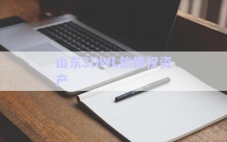 山東SDWL旅債權資產