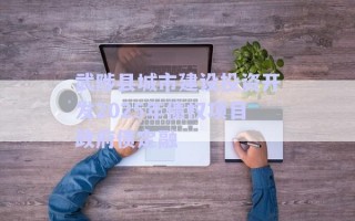 武陟縣城市建設投資開發2025年債權項目政府債定融