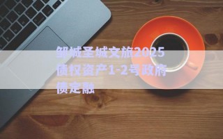 鄒城圣城文旅2025債權資產1-2號政府債定融