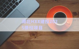 湖北HXX建投2025債權項目
