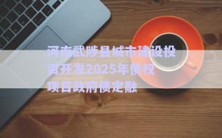 河南武陟縣城市建設投資開發2025年債權項目政府債定融