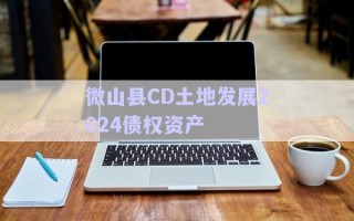 微山縣CD土地發展2024債權資產