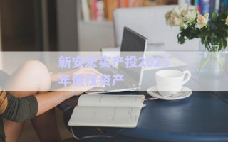 新安宏實產(chǎn)投2025年債權(quán)資產(chǎn)