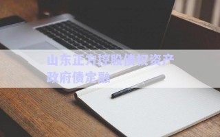 山東正方控股債權資產政府債定融