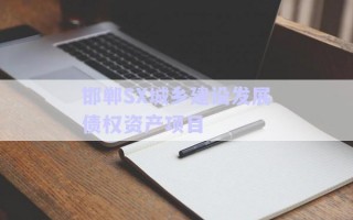 邯鄲SX城鄉建設發展債權資產項目