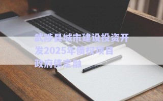 武陟縣城市建設投資開發2025年債權項目政府債定融
