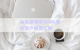 山東鄒城市SCWL債權資產拍賣二期