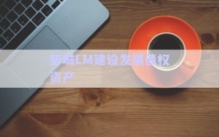 鄒城LM建設發展債權資產