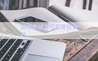 鄒城市城資控股債權資產