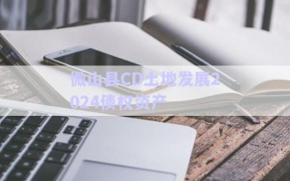 微山縣CD土地發展2024債權資產