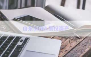 山東SDWL債權(quán)資產(chǎn)