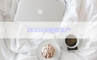ZKSSCX債權資產