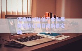 河南林州財信產(chǎn)業(yè)發(fā)展債權(quán)轉(zhuǎn)讓項目政府債定融