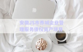 安徽JS市養城企業管理服務債權資產項目