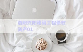 洛陽興陽建設(shè)工程債權(quán)資產(chǎn)01