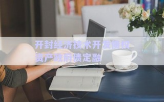 開封經濟技術開發債權資產政府債定融