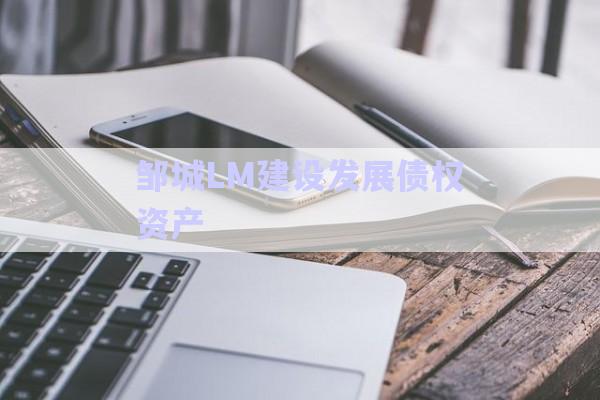 鄒城LM建設發展債權資產-第1張圖片-政信固收網