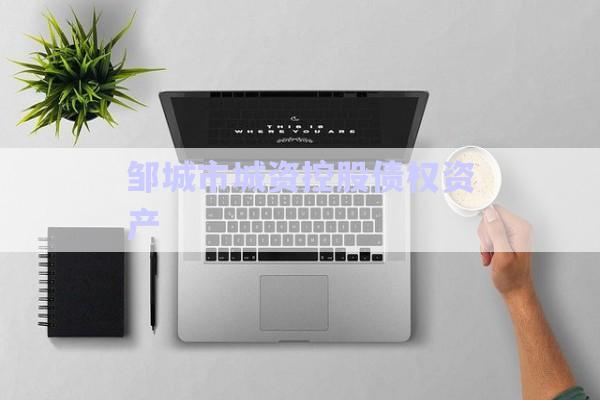 鄒城市城資控股債權資產-第1張圖片-政信固收網