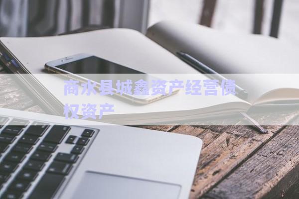 商水縣城鑫資產(chǎn)經(jīng)營債權(quán)資產(chǎn)-第1張圖片-政信固收網(wǎng)