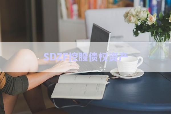 SDZF控股債權資產-第1張圖片-政信固收網