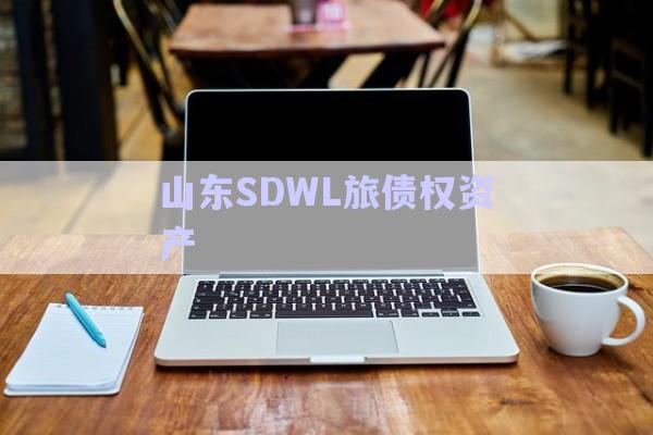 山東SDWL旅債權資產-第1張圖片-政信固收網
