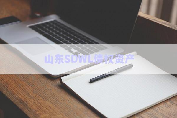 山東SDWL債權資產(chǎn)-第1張圖片-政信固收網(wǎng)