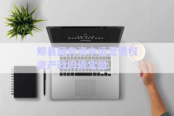 郟縣國有資本運營債權資產政府債定融-第1張圖片-政信固收網