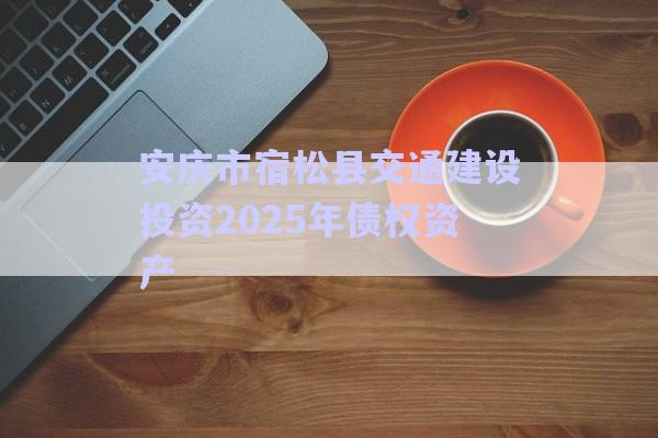 安慶市宿松縣交通建設投資2025年債權資產-第1張圖片-政信固收網