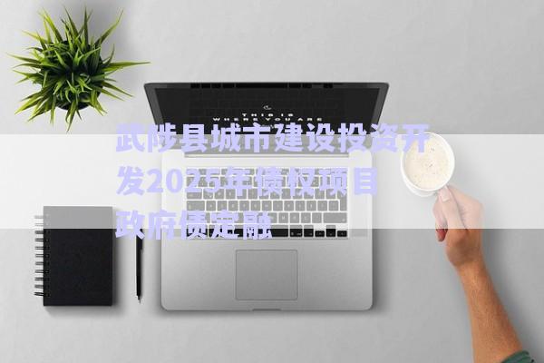 武陟縣城市建設投資開發2025年債權項目政府債定融-第1張圖片-政信固收網
