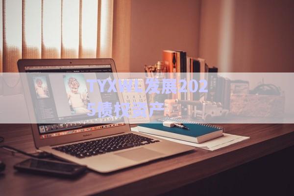 TYXWL發展2025債權資產-第1張圖片-政信固收網