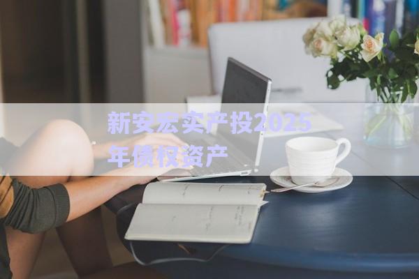 新安宏實產投2025年債權資產-第1張圖片-政信固收網