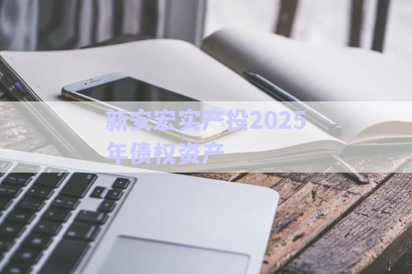 新安宏實產投2025年債權資產-第1張圖片-政信固收網