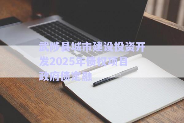 武陟縣城市建設投資開發2025年債權項目政府債定融-第1張圖片-政信固收網