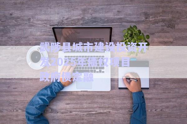 武陟縣城市建設投資開發(fā)2025年債權項目政府債定融-第1張圖片-政信固收網(wǎng)